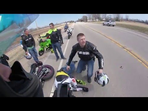 شاهد كلب شارد كاد أن يتسبب بحادث سير مروع