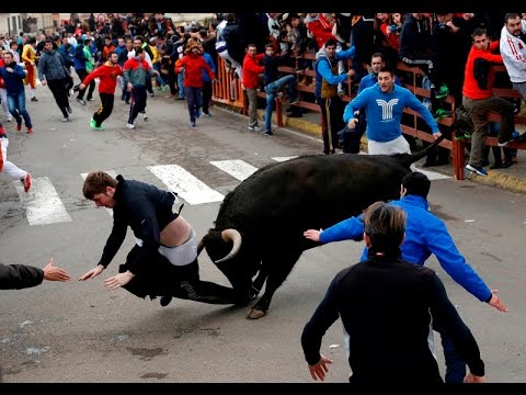 شاهد أقوى حوادث الثيران مع البشر