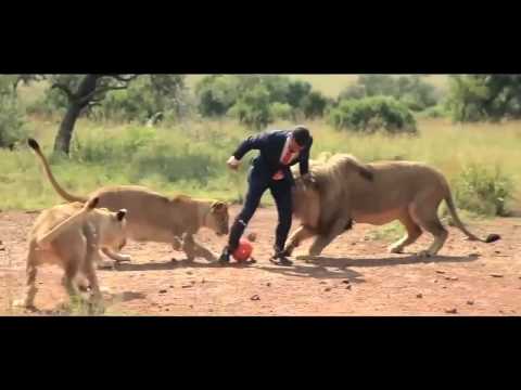 بالفيديو شاهد أخطر مباراة كرة قدم أبطالها أُسود