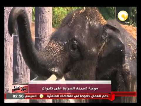 شاهد موجة شديدة الحرارة على تايوان