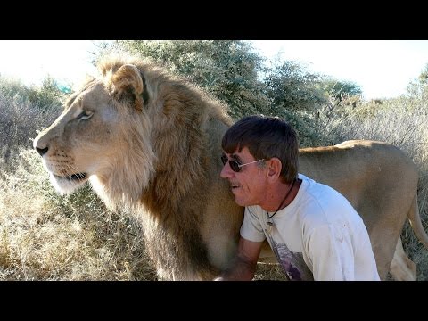 أغرب علاقة حب بين رجل وأسد