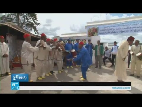 مزارعو الفراولة يعرضون إنتاجهم في مهرجان توت الأرض