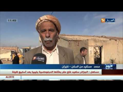 أخبار الجزائر