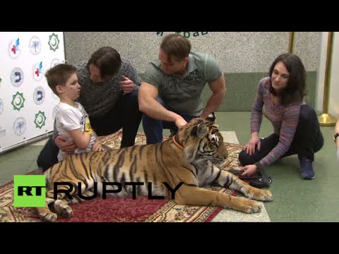 tamer brings wild cat to severely wounded donbass boy
