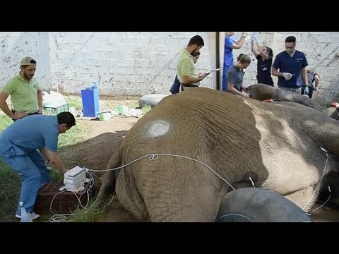 from colombia traffickers gets surgery