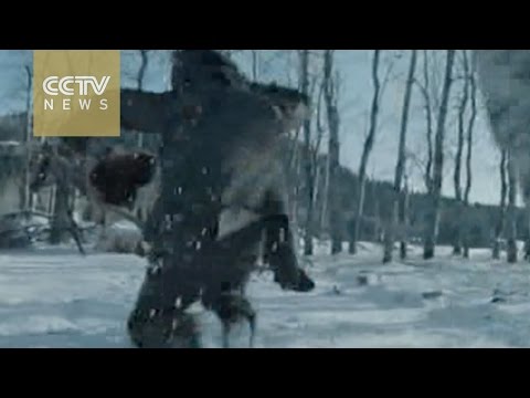 talk about ‘the revenant