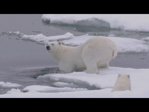 hots up as el nino shakes up world weather