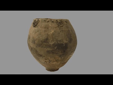worlds earliest evidence of winemaking found