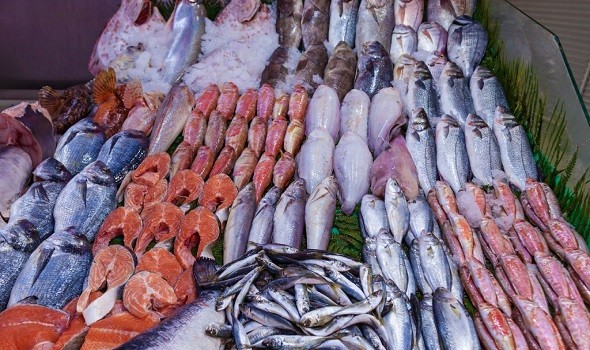 موريتانيا تٌسجّل رقمًا قياسيًا في صادراتها من الأسماك وتٌهدّد هيمنة المغرب على سوق الأخطبوط في إسبانيا