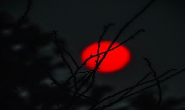 المغرب اليوم -