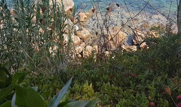 المغرب اليوم - 