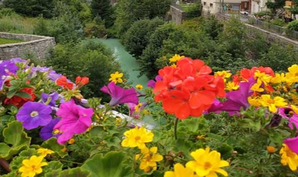 المغرب اليوم - 